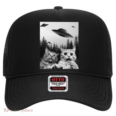 Funny Cat Selfie with UFOs Hat