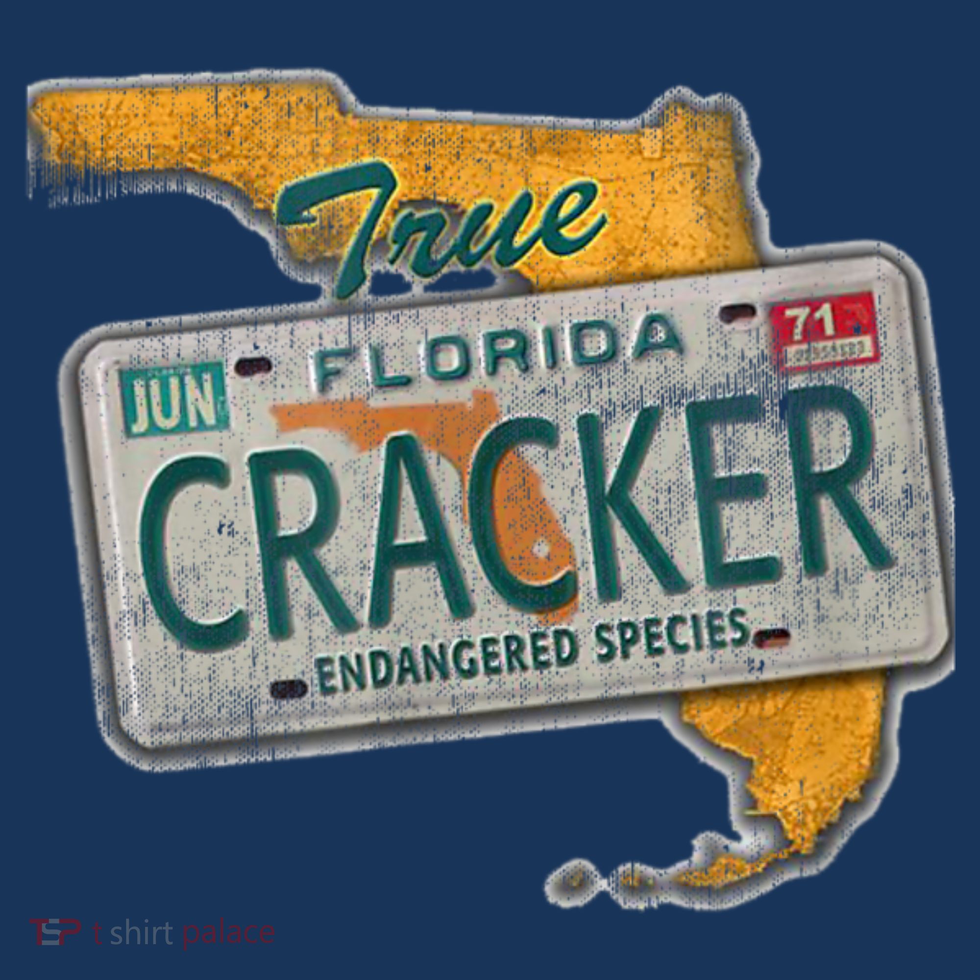Florida Cracker Shirt Florida Strong Hurricane Ian Support Florida Hoodie