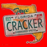 Florida Cracker Shirt Florida Strong Hurricane Ian Support Florida Santa Hat thumb 1