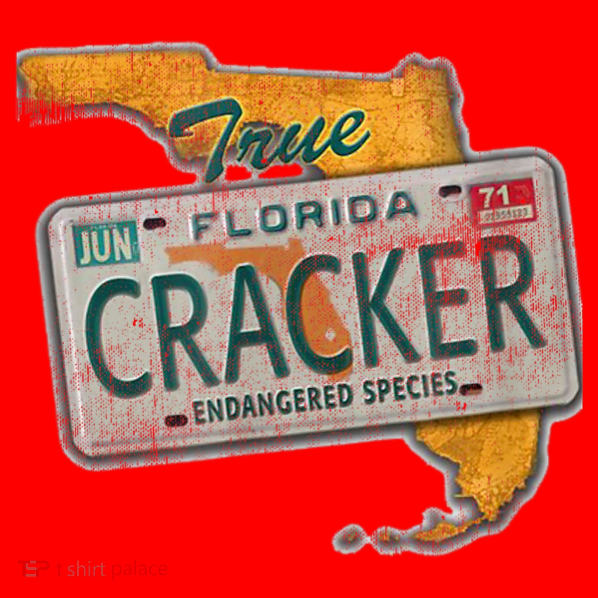 Florida Cracker Shirt Florida Strong Hurricane Ian Support Florida Santa Hat