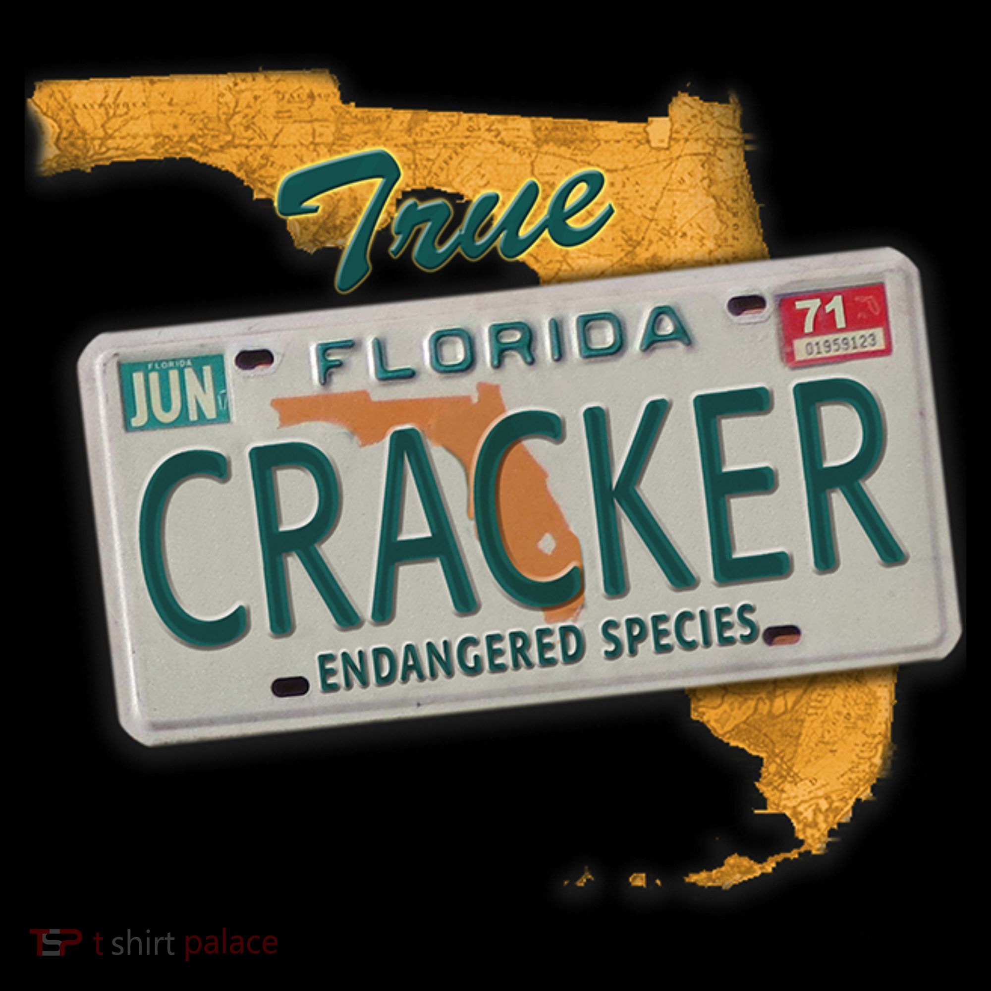 Florida Cracker Shirt Florida Strong Hurricane Ian Support Florida T-Shirt