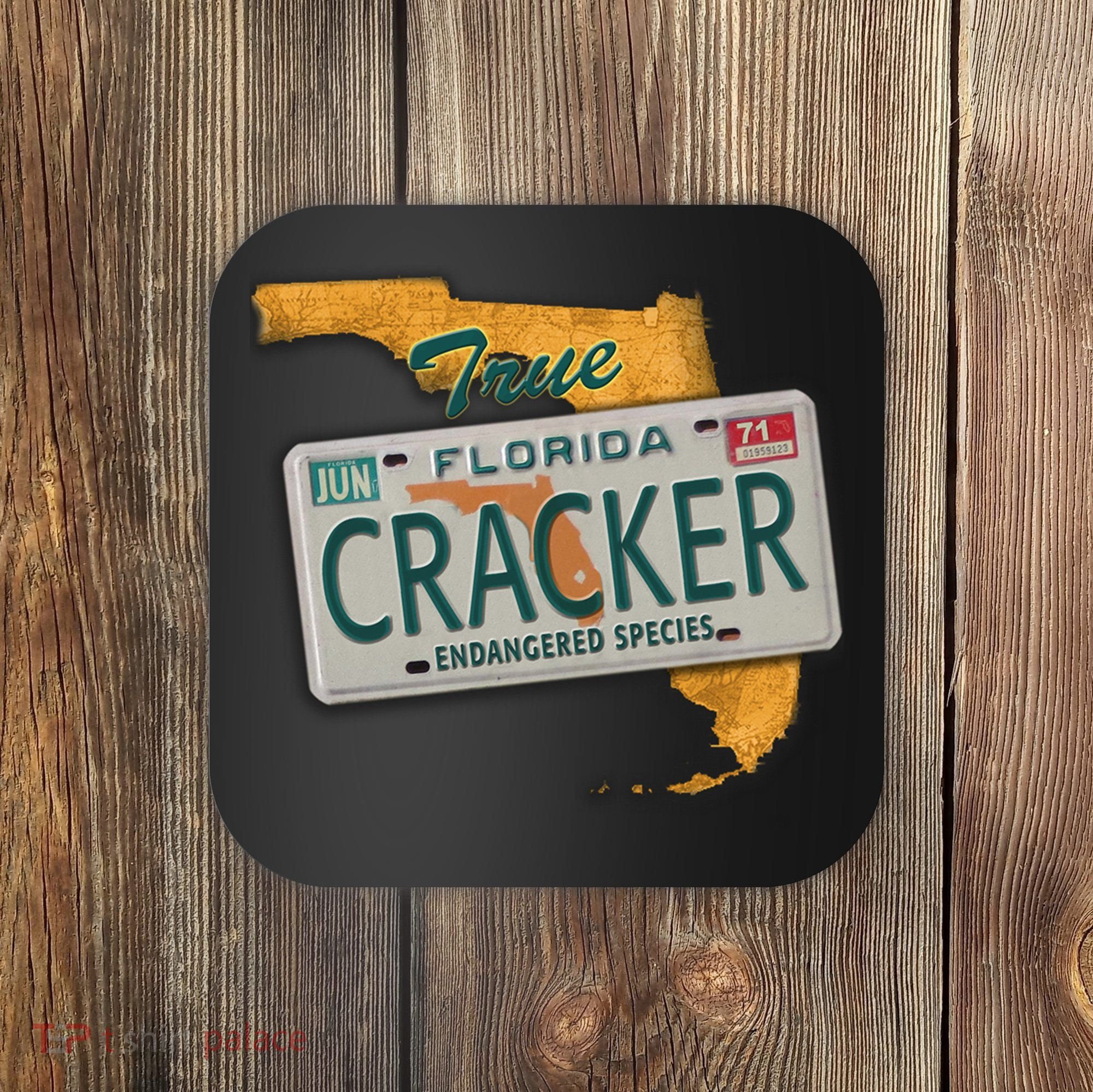 Florida Cracker Shirt Florida Strong Hurricane Ian Support Florida Coaster