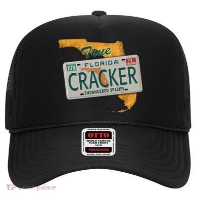 Florida Cracker Shirt Florida Strong Hurricane Ian Support Florida Hat