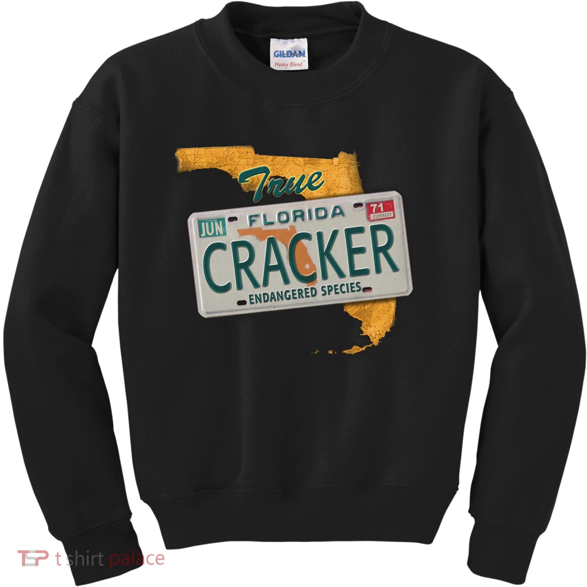 Florida Cracker Shirt Florida Strong Hurricane Ian Support Florida Kids Sweatshirt