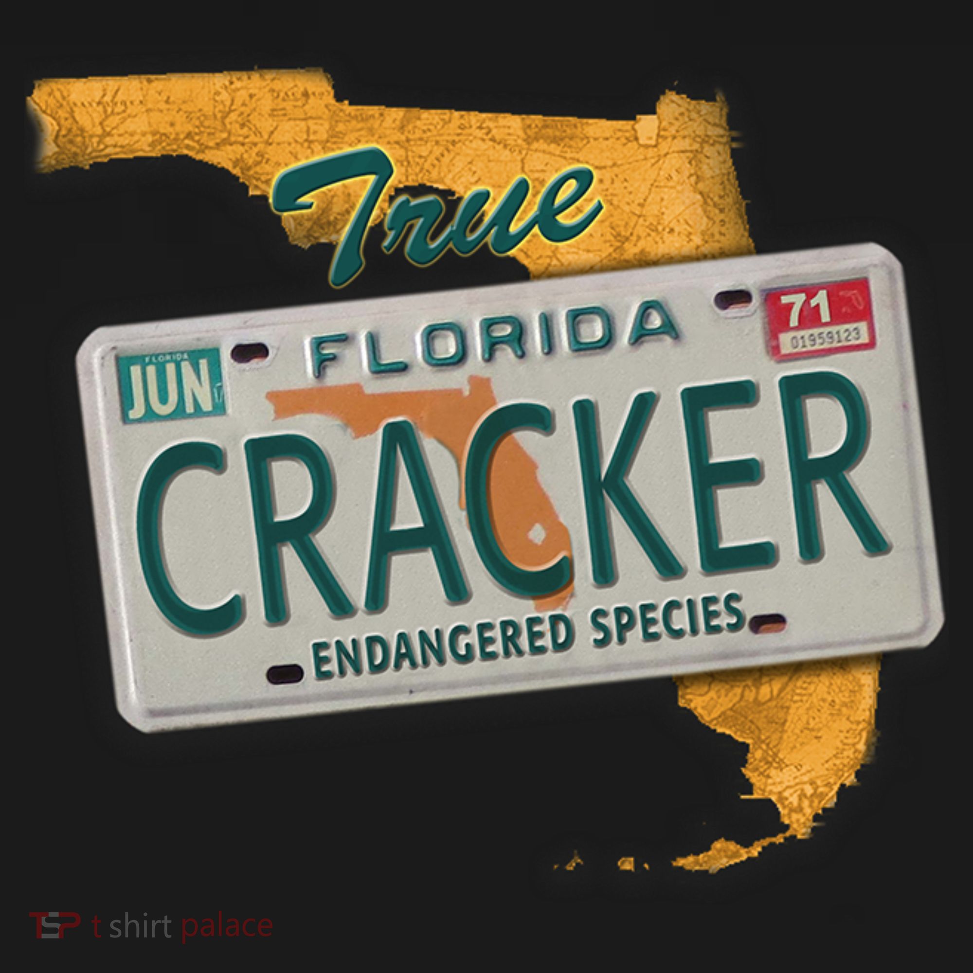 Florida Cracker Shirt Florida Strong Hurricane Ian Support Florida Kids Long Sleeve Shirt