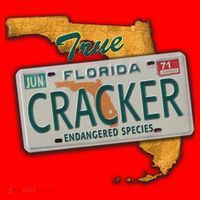 Florida Cracker Shirt Florida Strong Hurricane Ian Support Florida Santa Hat thumb 1