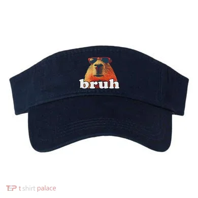Visor