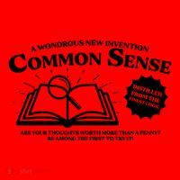 Funny Common Sense Advertisement Santa Hat thumb 1