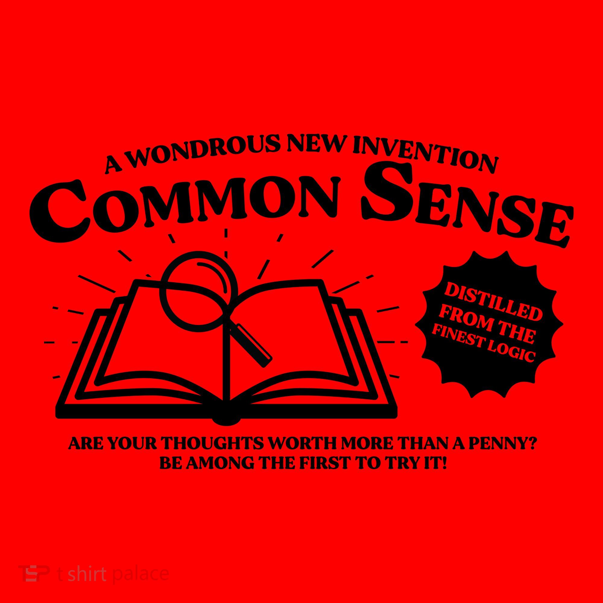 Funny Common Sense Advertisement Santa Hat