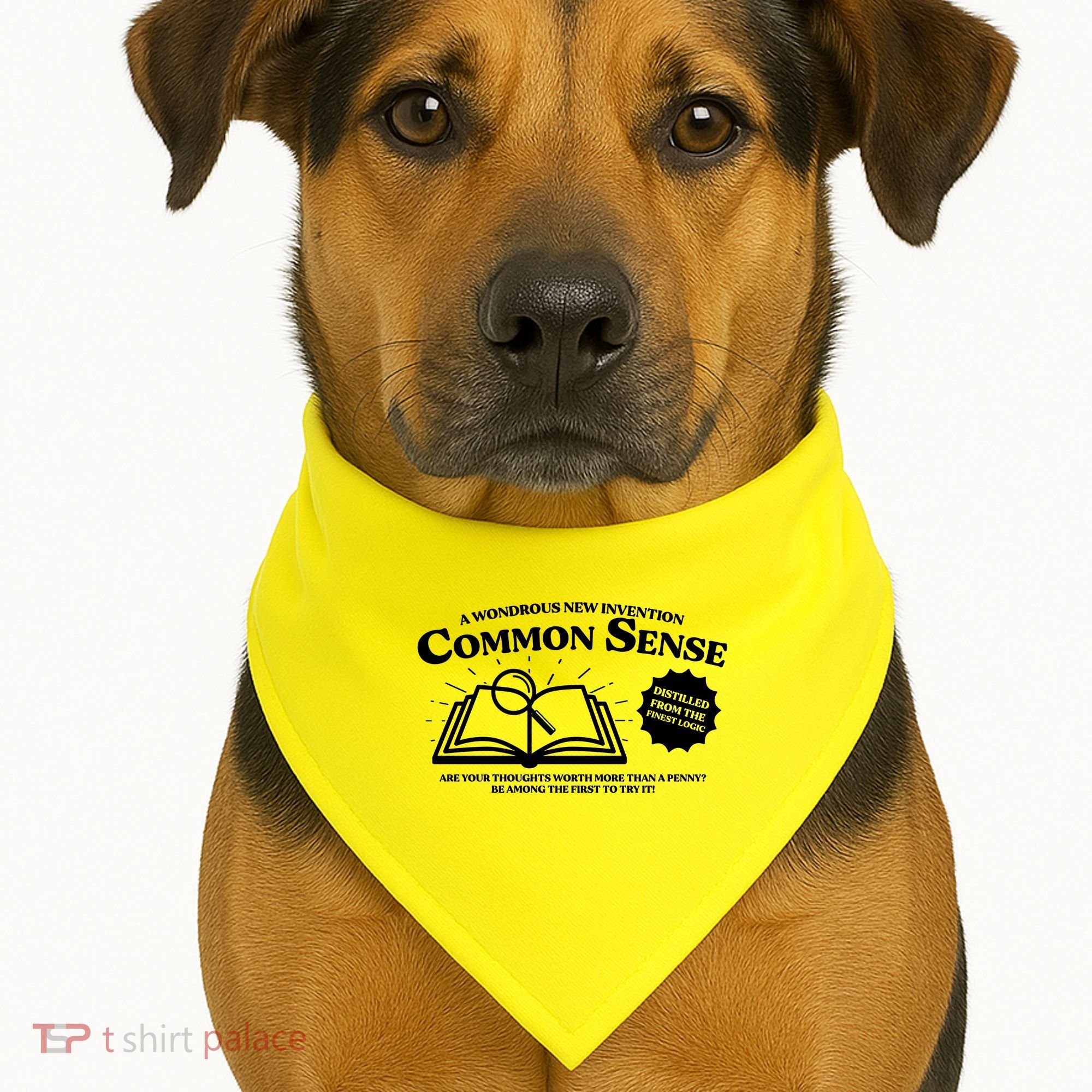 Funny Common Sense Advertisement USA-Made Doggie Bandana
