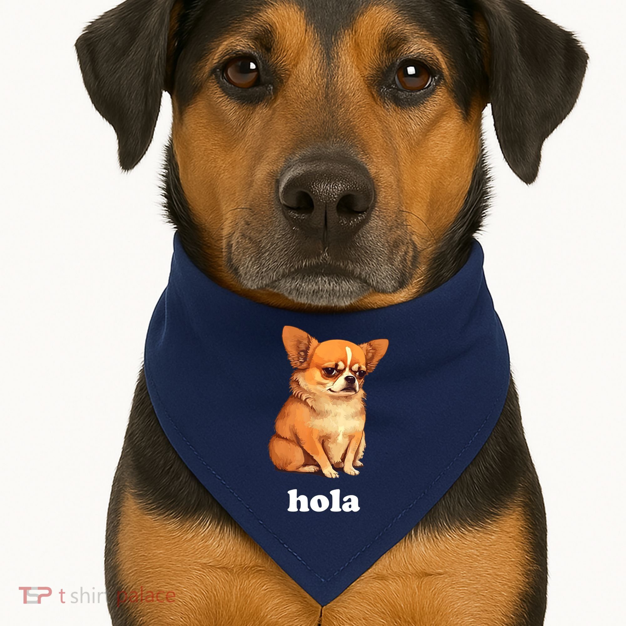 Funny Chihuahua speaks Spanish – Hi (Hola) USA-Made Doggie Bandana