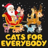 Funny Christmas Santa Claus Cats For Everybody Women's Hoodie thumb 2