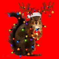 Funny Christmas Squirrel Lights Reindeer Christmas Costume Santa Hat thumb 1