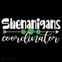 Funny Cute St Patricks Day Shenanigans Coordinator Kids Sweatshirt thumb 2