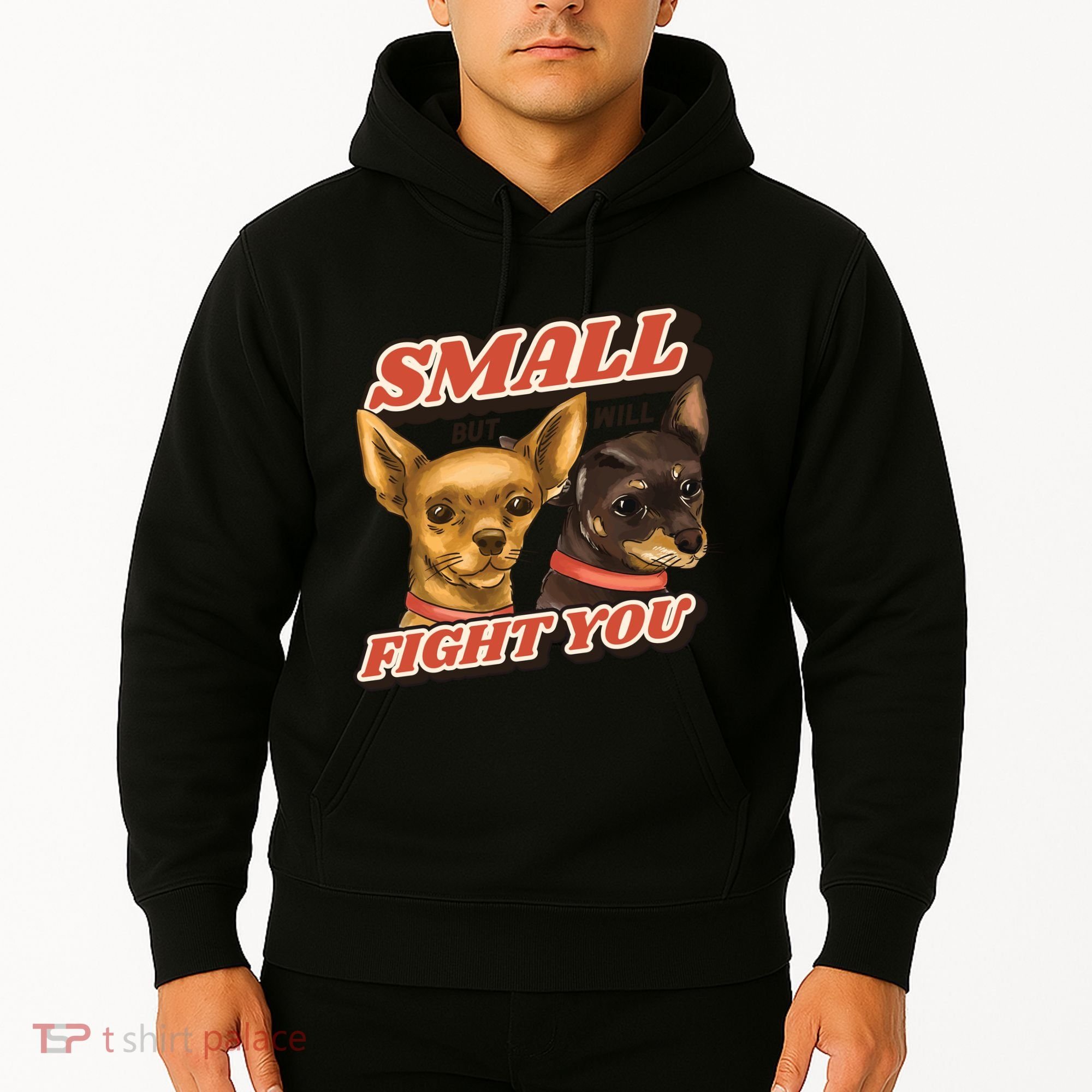 Funny Chiwawa Small But Will Fight You Hoodie