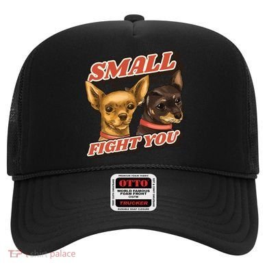 Funny Chiwawa Small But Will Fight You Hat
