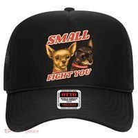 Funny Chiwawa Small But Will Fight You Hat thumb 0