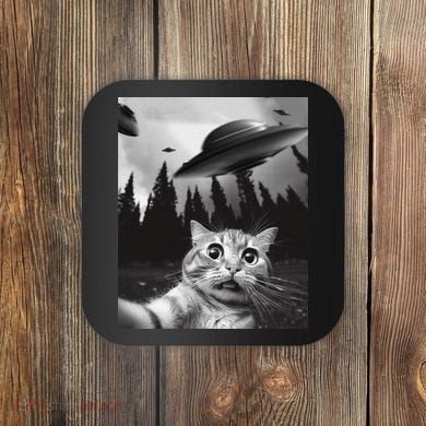 Funny Cat Selfie With Ufos Coaster