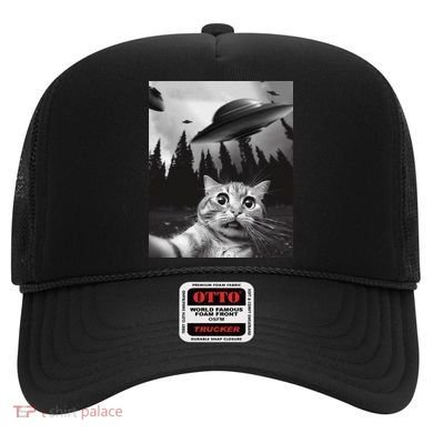 Funny Cat Selfie With Ufos Hat