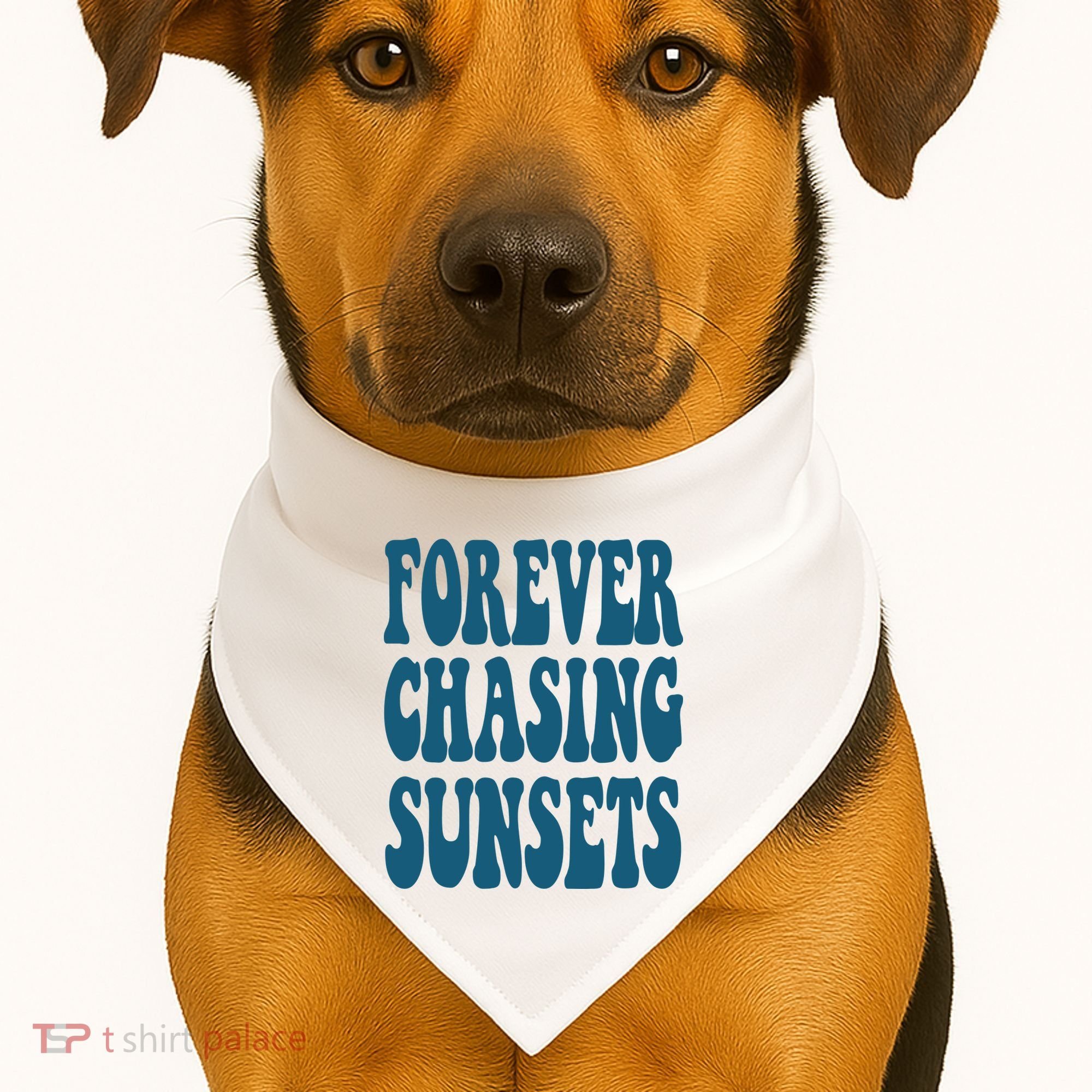Forever Chasing Sunsets Retro Summer USA-Made Doggie Bandana