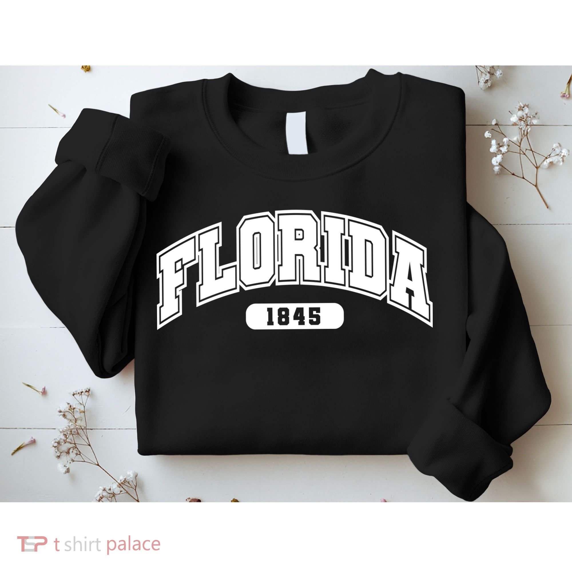 Florida Collegiate Style 1845 Sweatshirt