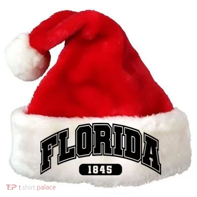 Santa Hat