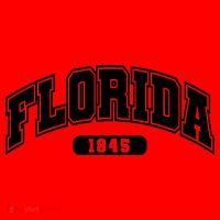 Florida Collegiate Style 1845 Santa Hat thumb 1
