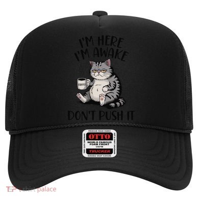 Funny Coffee Sarcastic Cat Lover Morning Vibes saying Hat