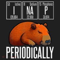 Funny Chemistry Science I Nap Periodically Capybara Lover Beanie thumb 2