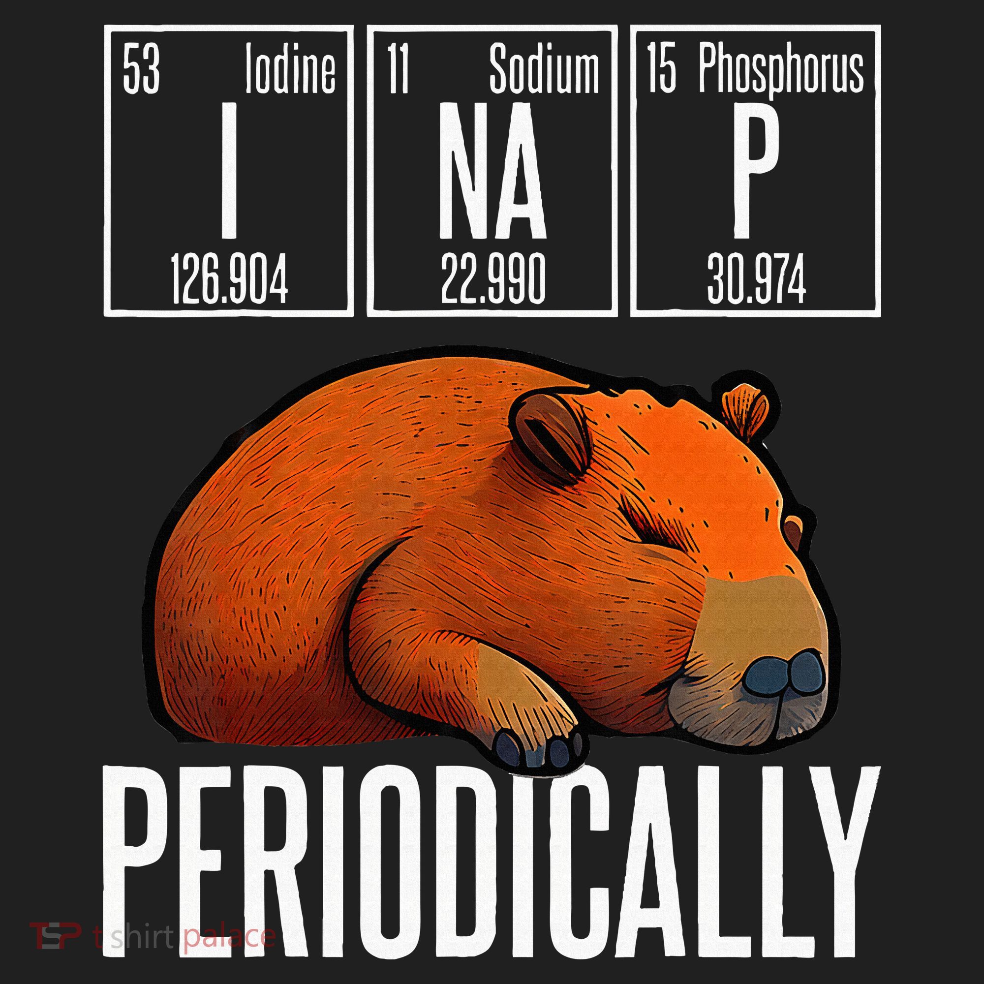Funny Chemistry Science I Nap Periodically Capybara Lover Beanie