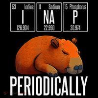 Funny Chemistry Science I Nap Periodically Capybara Lover Women's Hoodie thumb 2