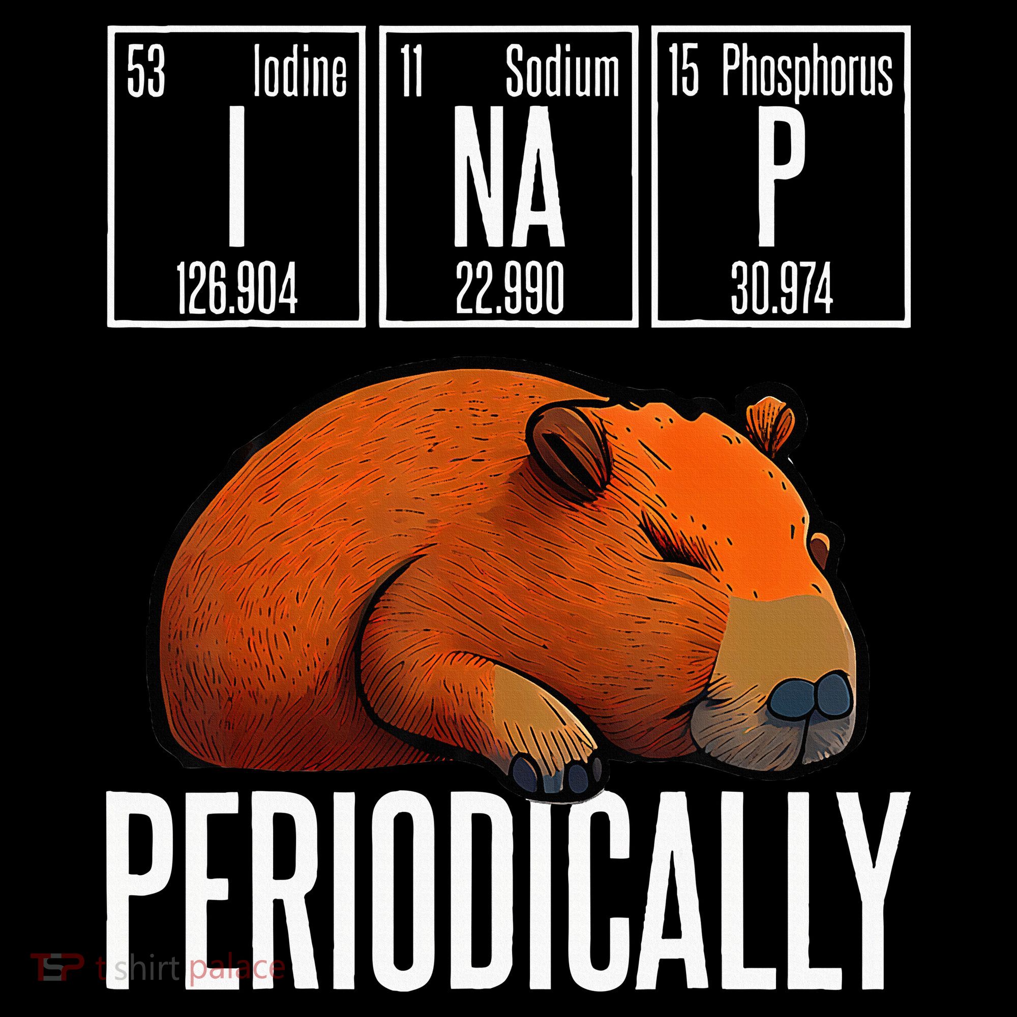 Funny Chemistry Science I Nap Periodically Capybara Lover Women's Hoodie