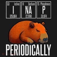 Funny Chemistry Science I Nap Periodically Capybara Lover Women's Tank Top thumb 5