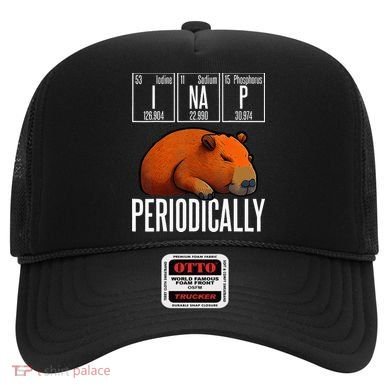 Funny Chemistry Science I Nap Periodically Capybara Lover Hat