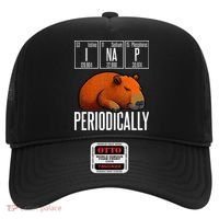 Funny Chemistry Science I Nap Periodically Capybara Lover Hat thumb 0