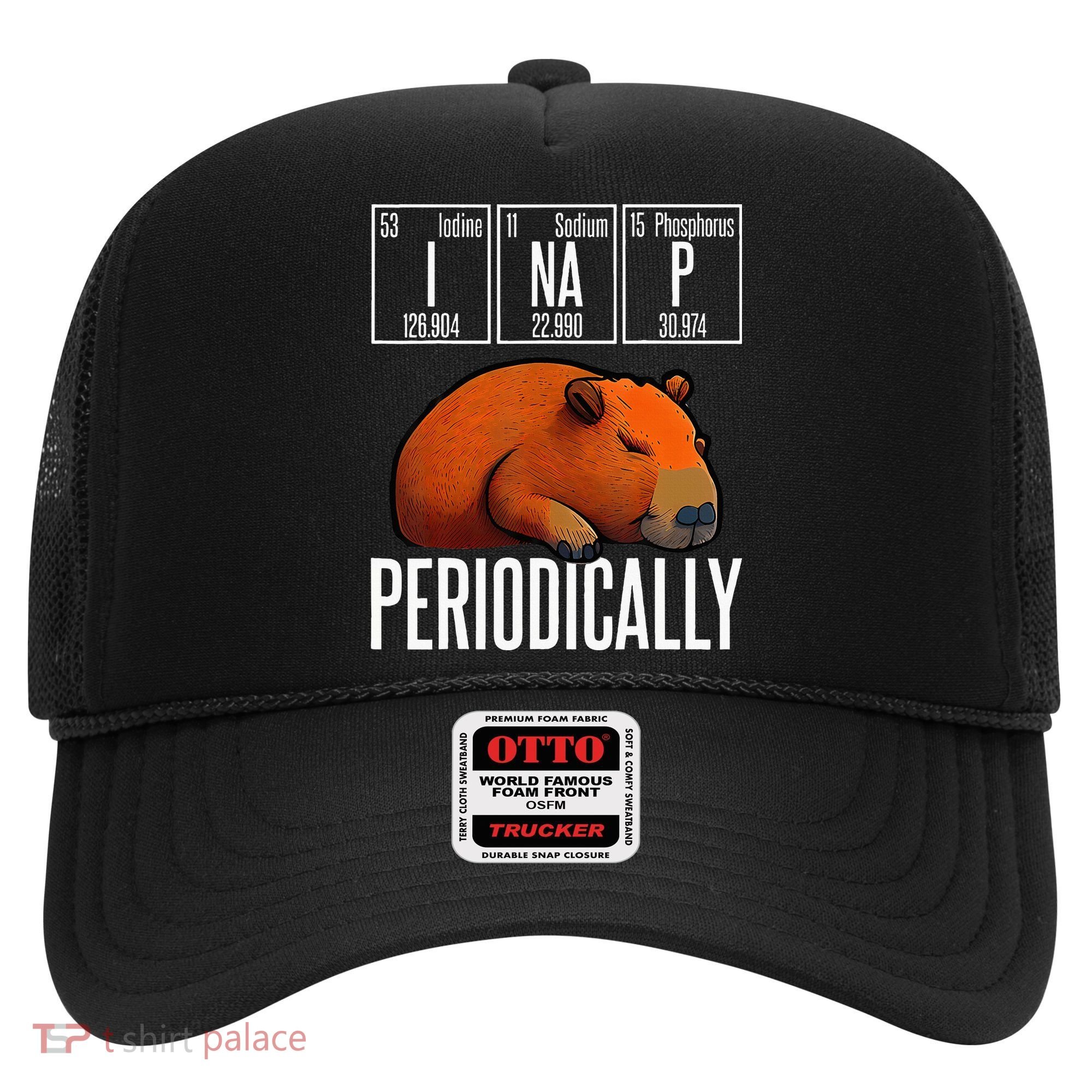 Funny Chemistry Science I Nap Periodically Capybara Lover Hat