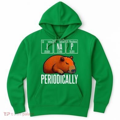 Funny Chemistry Science I Nap Periodically Capybara Lover Hoodie