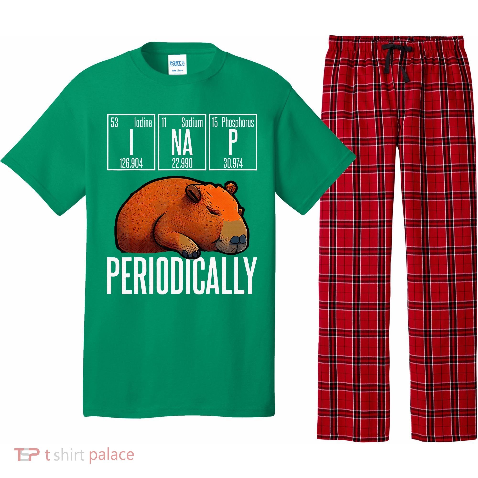 Funny Chemistry Science I Nap Periodically Capybara Lover Pajama Set