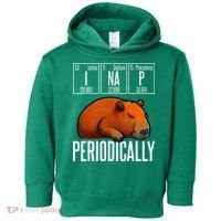 Funny Chemistry Science I Nap Periodically Capybara Lover Toddler Hoodie thumb 0