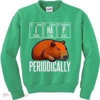 Funny Chemistry Science I Nap Periodically Capybara Lover Kids Sweatshirt thumb 0