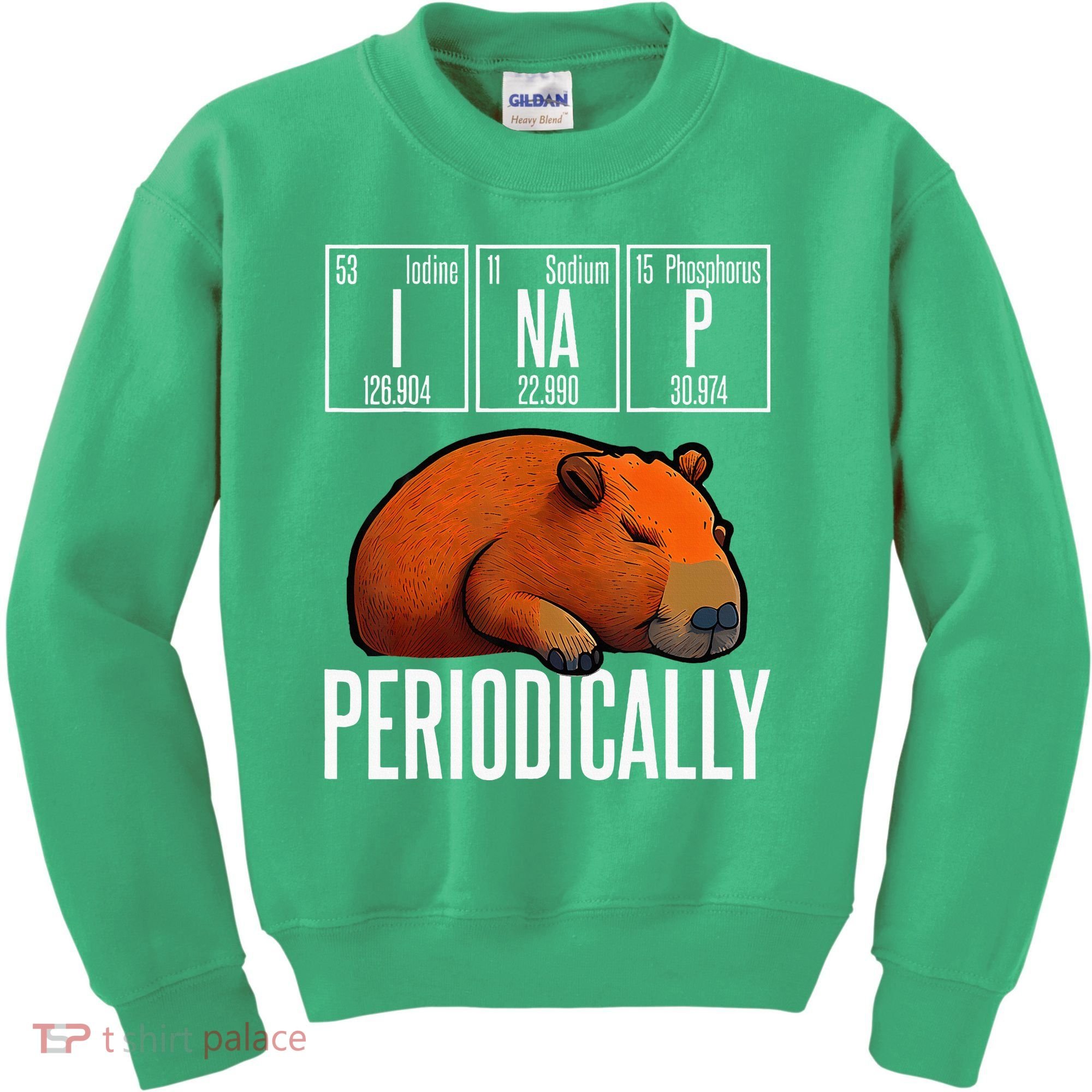 Funny Chemistry Science I Nap Periodically Capybara Lover Kids Sweatshirt