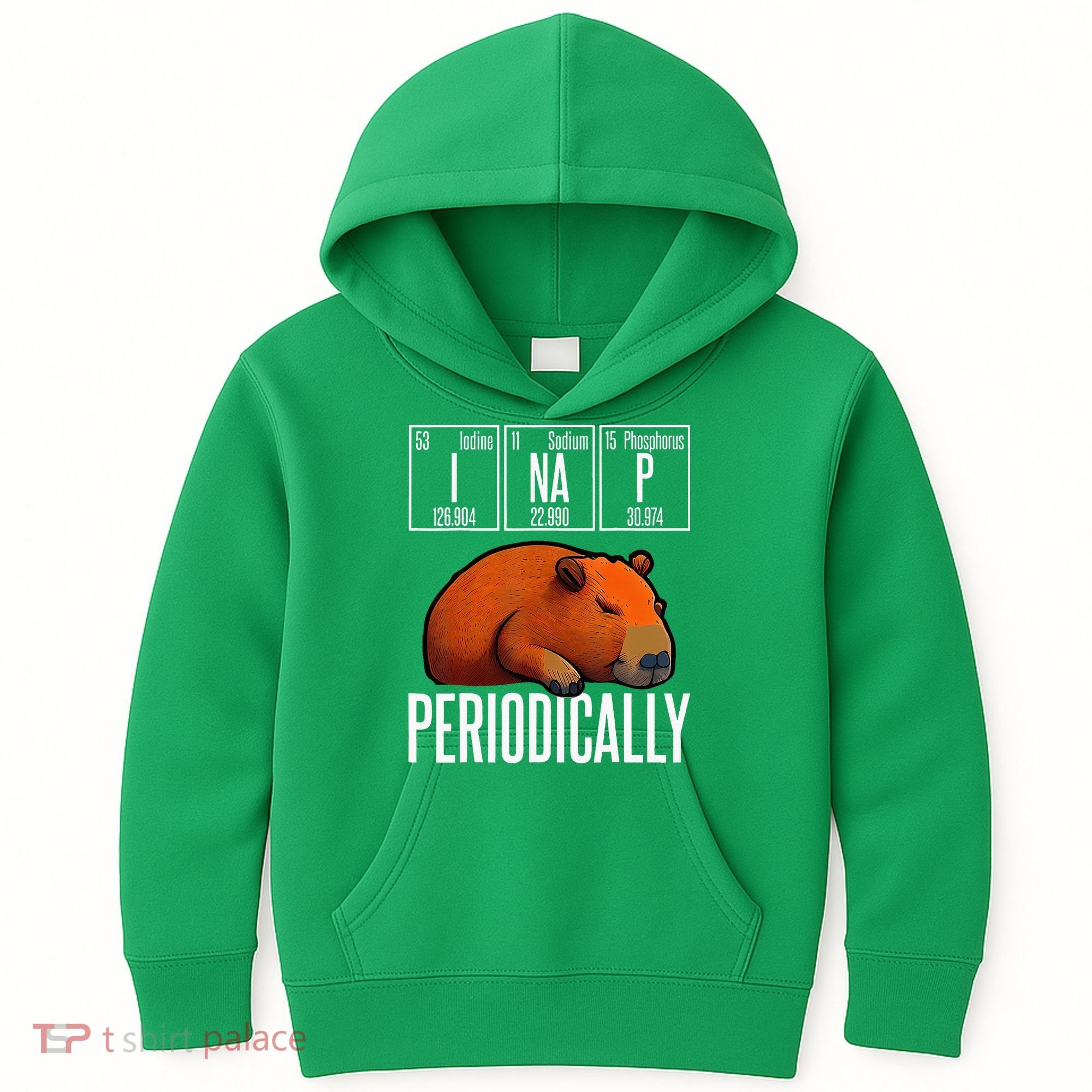 Funny Chemistry Science I Nap Periodically Capybara Lover Kids Hoodie