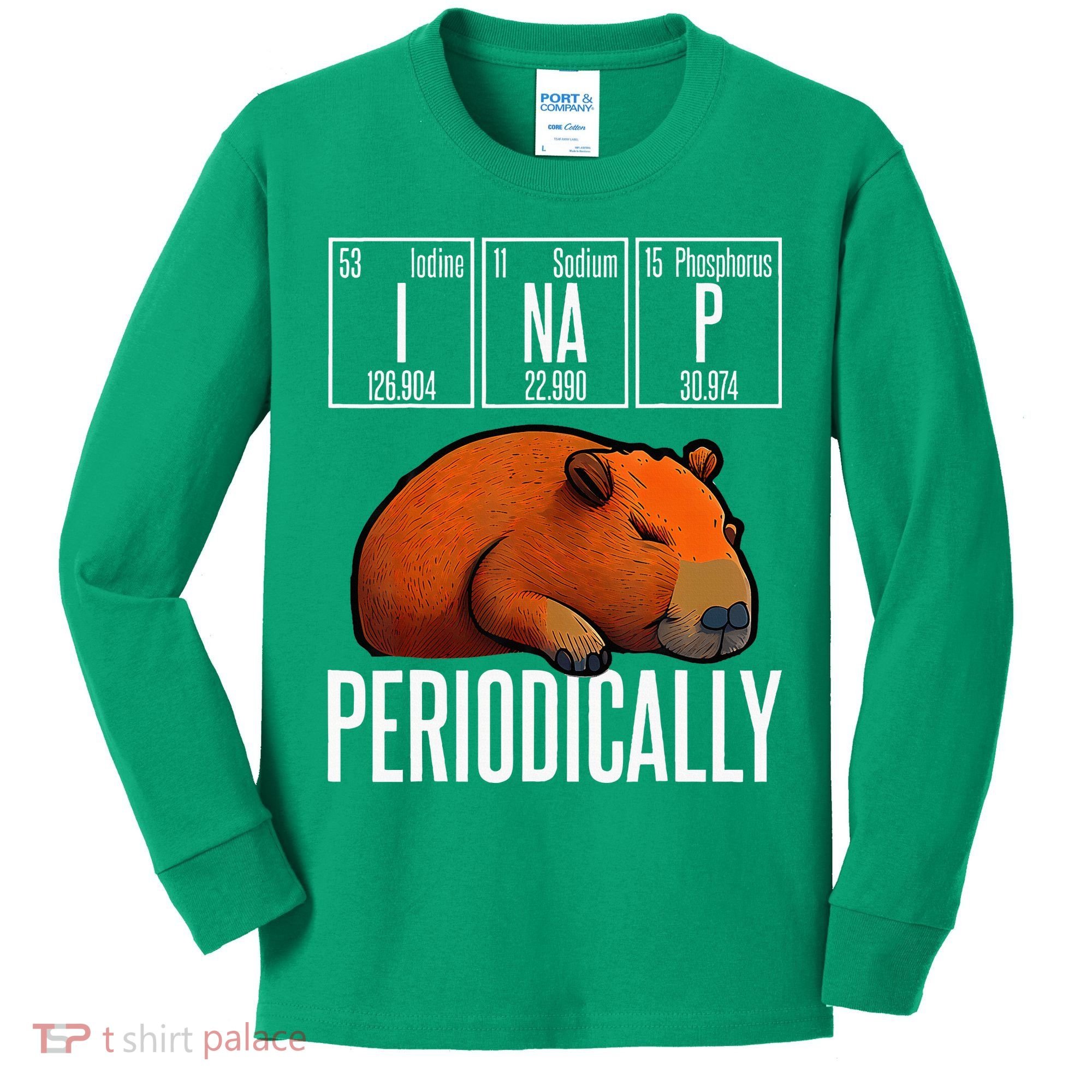 Funny Chemistry Science I Nap Periodically Capybara Lover Kids Long Sleeve Shirt