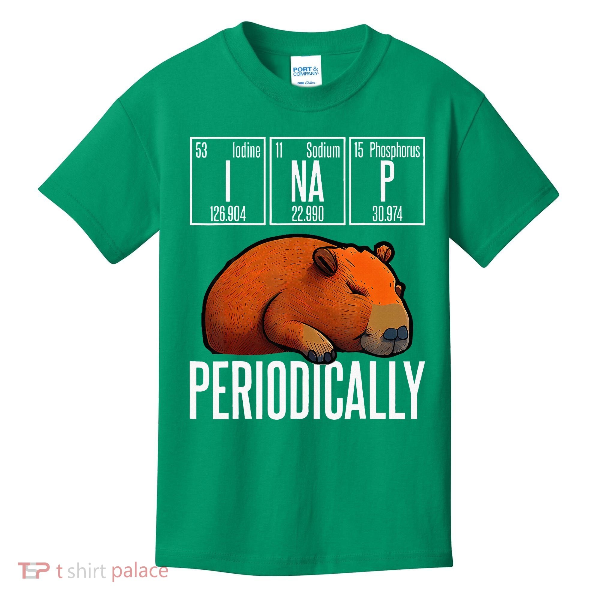Funny Chemistry Science I Nap Periodically Capybara Lover Kids T-Shirt