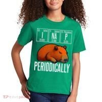 Funny Chemistry Science I Nap Periodically Capybara Lover Kids T-Shirt thumb 2