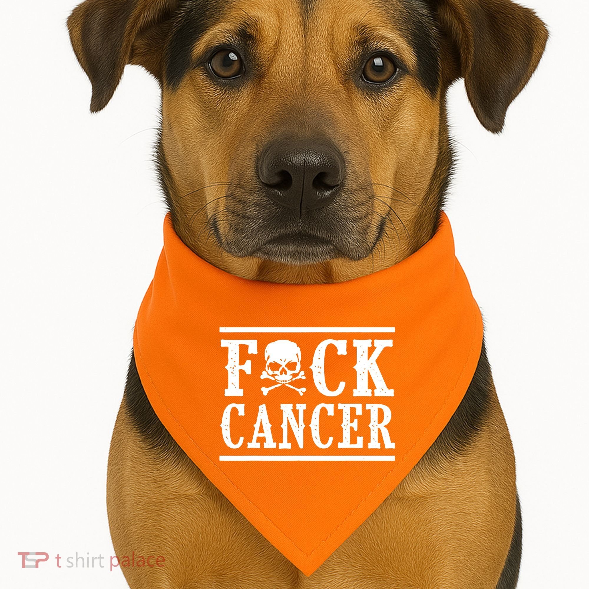 F Cancer Skull And Crossbones USA-Made Doggie Bandana