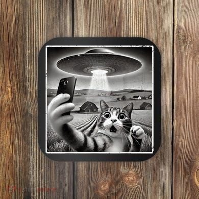 Funny Cat Selfie With Alien UFO Cat Coaster
