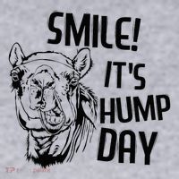 Funny Camel Smile! ItS Hump Day Funny Hump Day Women's Sweatshirt thumb 2