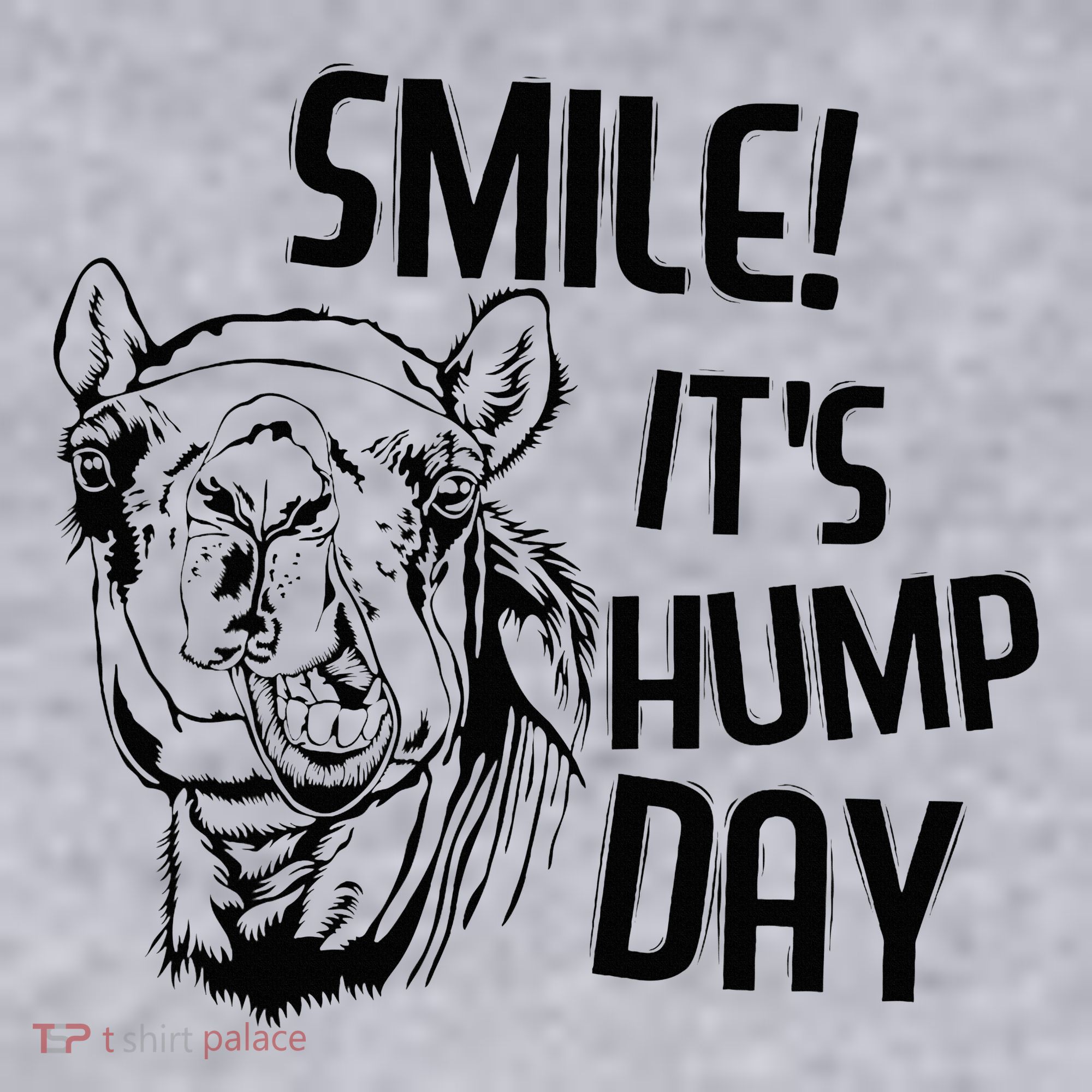 Funny Camel Smile! ItS Hump Day Funny Hump Day Women's Sweatshirt