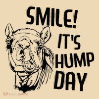 Funny Camel Smile! ItS Hump Day Funny Hump Day Tote Bag thumb 4